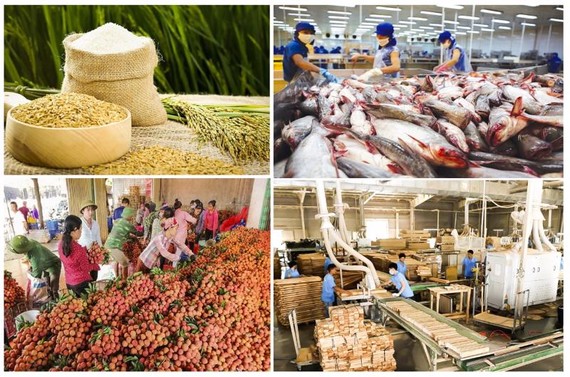 Bất chấp dịch Covid-19, xuất khẩu nông lâm thuỷ sản vẫn thiết lập kỷ lục mới 43,48 tỷ USD