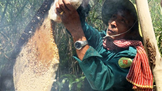 Nghề gác kèo ong trở thành Di sản Văn hóa phi vật thể cấp quốc gia