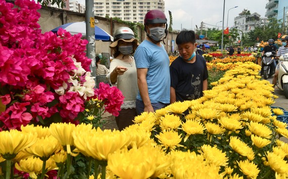 Khách lựa mua hoa kiểng chiều 10-2 tại quận Gò Vấp