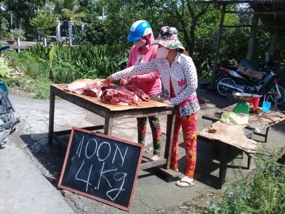 Breeders in Vinh Long Province sell pork in roadside (Photo: SGGP)