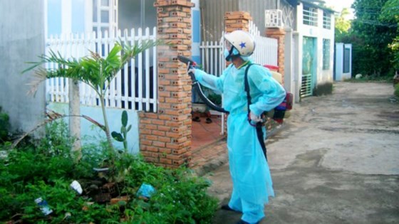 HCMC still sees  increase in dengue infections