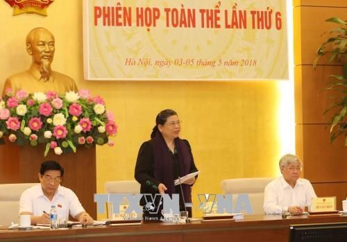 Vice NA Chairwoman Tong Thi Phong speaks at the meeting (Source: VNA)
