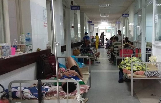 Outbreaks of dengue in Da Nang City