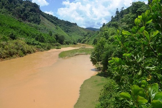 The Greater Mekong Subregion biodiversity conservation corridors and project management plans will be put into operation from 2019, said Vice Director of the Vietnam National Administration of Environment Nguyen The Dong (Photo: Baotainguyenmoitruong.vn)