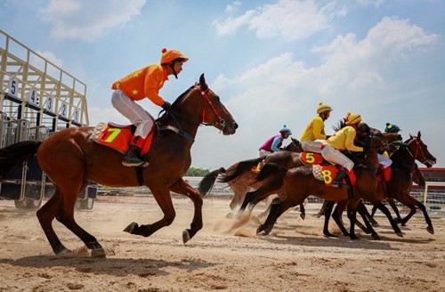 The multi-purpose entertainment complex – horse racing course project is added to Hanoi’s master plan on socio-economic development by 2020, with orientation to 2030(Photo: vnexpress.net)