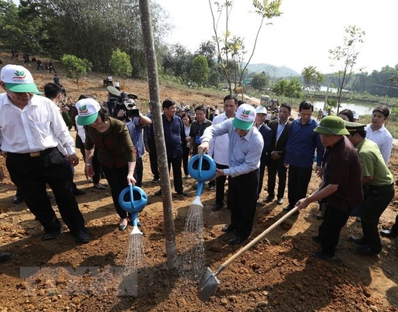 The New Year Tree Planting Festival is launched in Yen Bai province. (Photo: VNA)