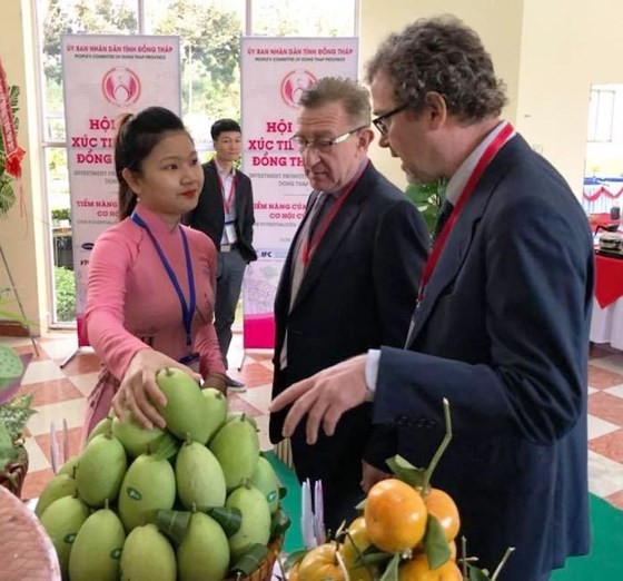 Mekong delta province exports mango to US for first time