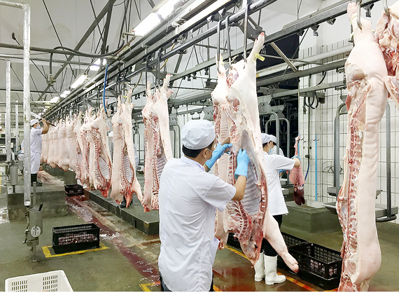 Scarce supply of pork in year-end amid Asf outbreaks: Ministry warns