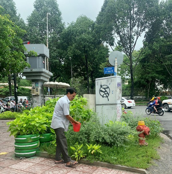 An elderly man is watering  trees and flowers in T-shaped intersection Nguyen Dinh Chieu – Ly Thai To in District 3 (Photo: SGGP)