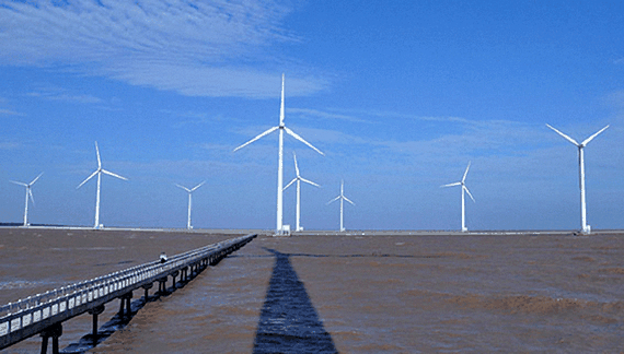 A wind power station in the southwest province of Bac Lieu. (Photo: SGGP)