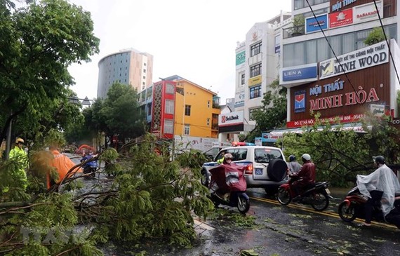 Typhoon Noul, the fifth to enter the East Sea this year, made landfall in Thua Thien-Hue province on the morning of September 18, causing heavy downpours, strong winds, and lightning. (Photo: VNA)