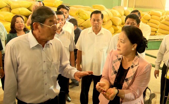 National Assembly Chairwoman Nguyen Thi Kim Ngan tours the production centre for ST25 fragrant rice in My Xuan district, Soc Trang province (Photo: SGGP)