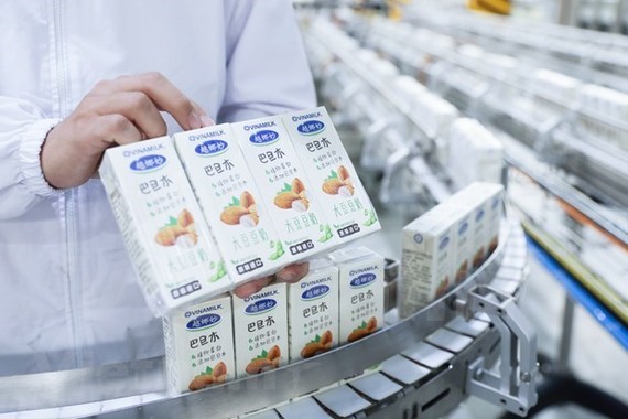 Vinamilk exports ten containers of plant-based milk to China in the early days of 2021. (Photo: VNA)