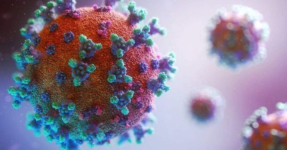 Dead Japanese expert infected with new 20C-coronavirus variant