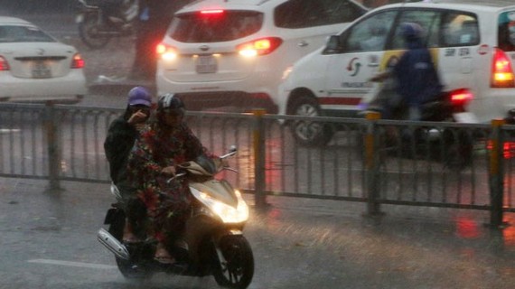 Tropical low depression causes medium- heavy rain and thunderstorm on the large scale 