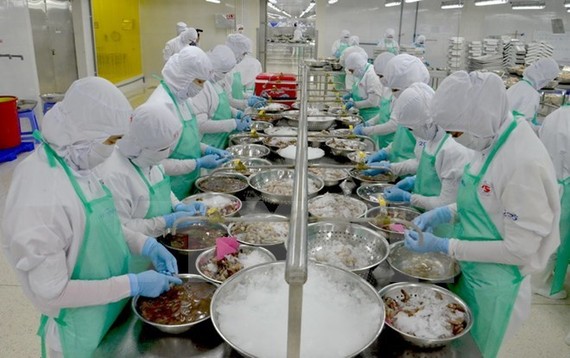 Seafood processing at Trung Son company. Illustrative image (Source: VNA)