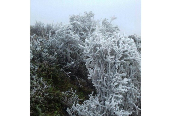 Frost covers Mau Son Mountain Peak and and Mau Son Tourism Site