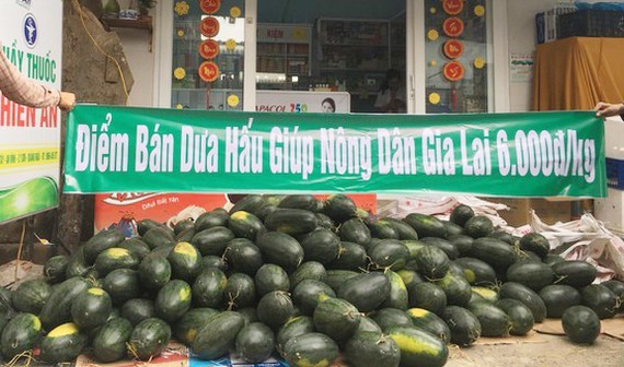 Many enterprises support Vietnamese fresh fruits in consumption (Photo:Le Nam)