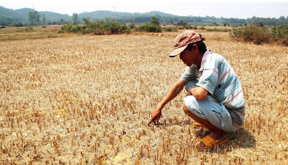 Severe drought, saline intrusion and lack of fresh water are prolonging in Mekong Delta provinces and cities