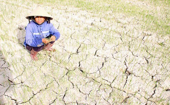 The Central region has braced for serious drought period