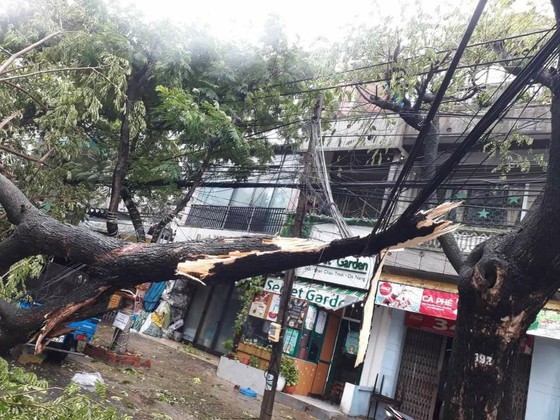 Typhoon Molave leaves 2 dead, heavy damage in Quang Ngai 
