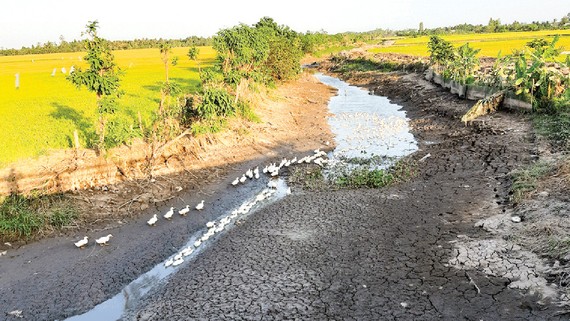 Saline intrusion to get serious in dry season 2021 