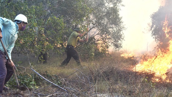 Central region attempts on forest protection from wildfire risk