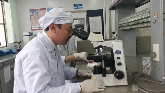 TS. Hoàng Minh Châu tại phòng nghiên cứu 