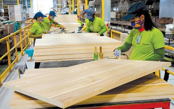 Đức hỗ trợ triển khai VPA FLEGT về gỗ hợp pháp 