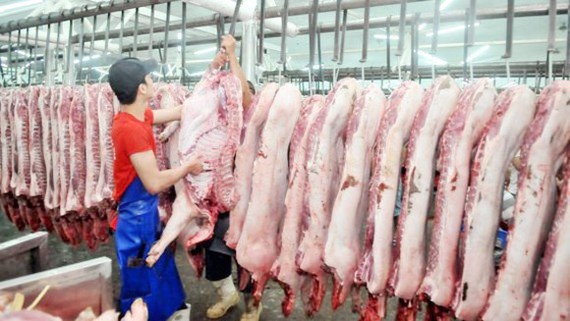 TPHCM chốt giá bán thịt heo bình ổn Tết Tân Sửu 2021, tăng 6.000 -15.000 đồng/kg
