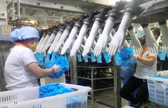 Tay sứ làm khung định hình sản xuất găng tay y tế xuất khẩu tại VRG Khải Hoàn. Ảnh: C.P
