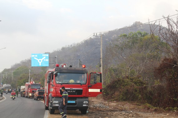 Cháy rừng ở núi Minh Đạm, tỉnh Bà Rịa - Vũng Tàu