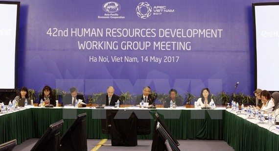 人力資源發展工作小組(HRDWG) 全體會議。（圖源：文疊/越通社）