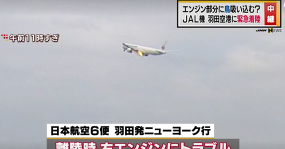 一架日本客機“撞鳥”引擎起火後返機場。（圖源：互聯網視頻截圖）