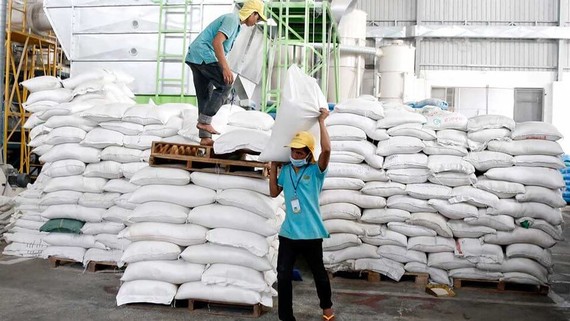 柬埔寨稻米聯盟副主席吳永樂表示，柬埔寨政府已經出台應對措施，包括降低國內生產和出口成本。（示意圖源：互聯網）