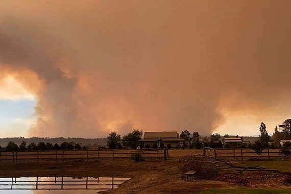 當地時間3月2日，澳大利亞維多利亞加菲爾德發生森林大火。（圖源：路透社）