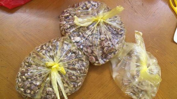 “天價”的兩公斤棉豆。（圖源：紅杏）