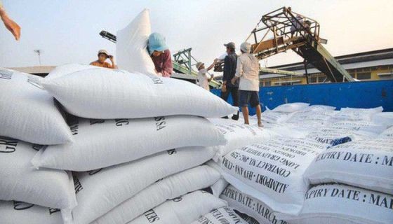 上週，我國5%碎米大米出口價格每噸從340至350美元，從本月2至10日，約10萬3000噸大米運往本市各港口。（示意圖源：互聯網）