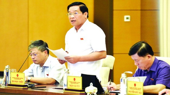 國會的民族理事會主席、監察團長何玉戰在會議上發言。（圖源：越通社）