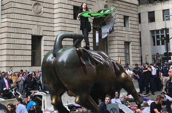 一名抗議者站上了牛背。（圖源：互聯網）