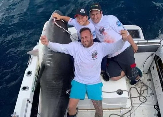 澳洲一名8歲男童近日成功捕捉一條重314公斤的虎鯊。（圖源：互聯網）
