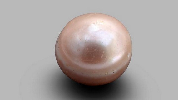 阿聯酋阿布扎比將展出一顆擁有8000年歷史的珍珠。（圖源：互聯網）