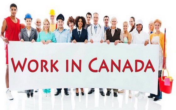 加拿大統計局12月6日公佈的數據顯示，該國今年11月就業市場較上月減少了約7萬1200個工作崗位，創下近10年以來最大的月度失業數。（示意圖源：互聯網）
