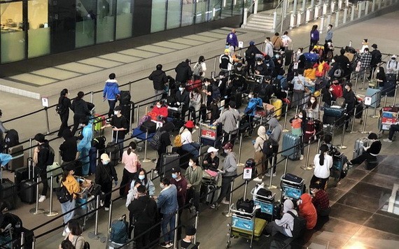 從英國撤回的越南公民安全抵達新山一機場並接受初步醫療檢查後送至集中隔離區進行醫學隔離觀察。（圖源：清孟）