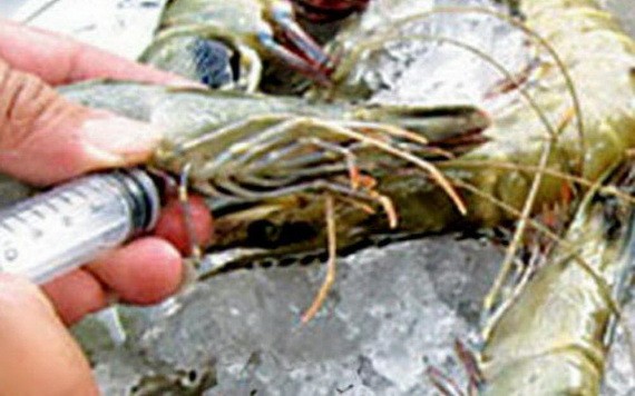 金甌省的一家商販最近因給蝦體注入雜質的違法行為遭罰款6000萬元。（示意圖源：互聯網）