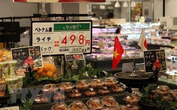 越南荔枝在Aeon超市上架銷售。（圖源：越通社）