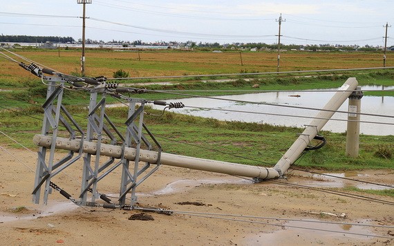 一根電線桿遭颱風吹斷倒塌。（圖源：武盛）