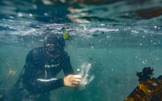 澳洲最新研究預估，全球海底應有超過1400萬噸塑膠微粒。（圖源：歐新社）