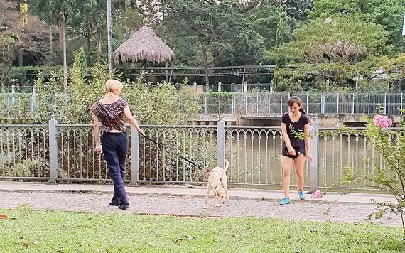 民眾帶著犬隻到饒祿－氏藝河畔公園（平盛郡第十九坊阮玉方街）大小便。