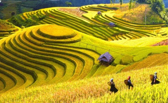 越南正成為國內外遊客的選擇。
